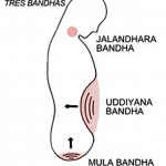 Maha Bandha. Los tres cierres